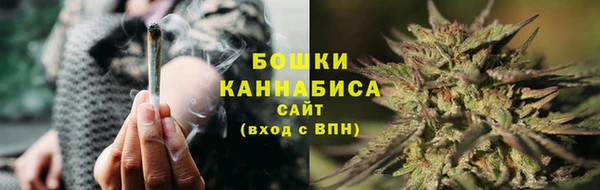 гидра Бородино