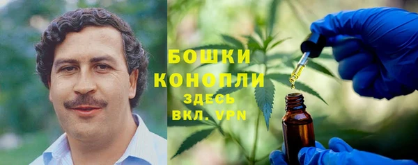 гидра Бородино