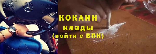 гидра Бородино