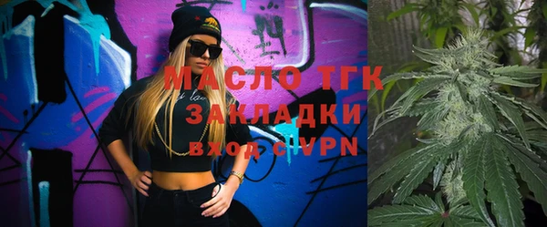 гидра Бородино