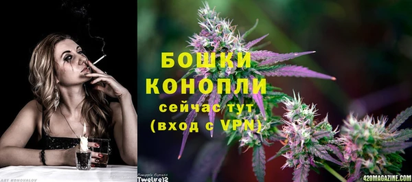 гидра Бородино