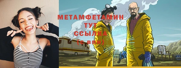 гидра Бородино