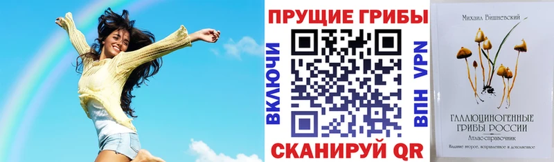 закладки Можайск Галлюциногенные грибы прущие грибы